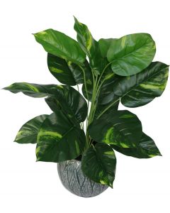 Leaf Design Realistic Artificial Scindapsus Aureus Plant Green 60cm 