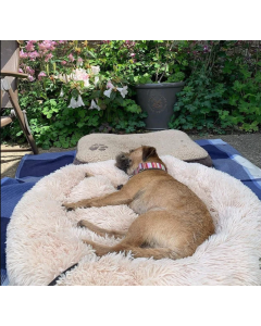 House Additions Fluffy Pet Dog Doughnut Cushion Bed Cream Beige 115 cm 