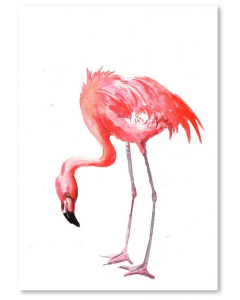 Americanflat Flamingo Art Print 42 cm H x 30 cm W