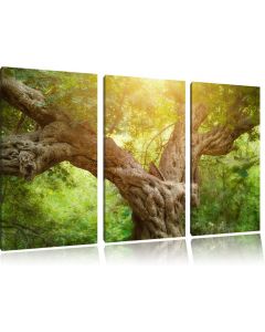 Pixxprint 3 Pieces Wall Art Mighty Tree in the Forest XXL Art Print Canvas 210 x 100cm 