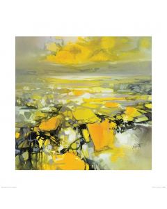 House Additions The Scott Naismith Yellow Matter 2 Wrapped Canvas Painting Multicoloured 60 x 60cm 