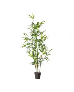 Gallery Direct 90cm Bamboo Plant in Black Pot