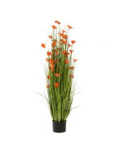 J-line Grasses Plant Flowers Plastic Green Orange Large, 120H x 50W x 50cm D