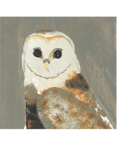 Art Group The Julia Burns Barn Owl Art Print, Paper, Multi-Colour, 30cm