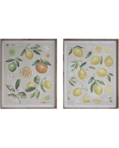 Bloomingville Gatherings Frame Fruit Textile Wall Art Canvas Set of 2, Multi-Color L65 x H81 cm
